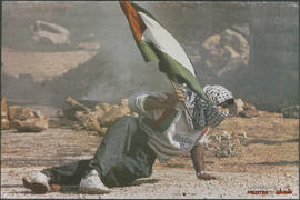 [Homme à terre portant un drapeau palestinien]